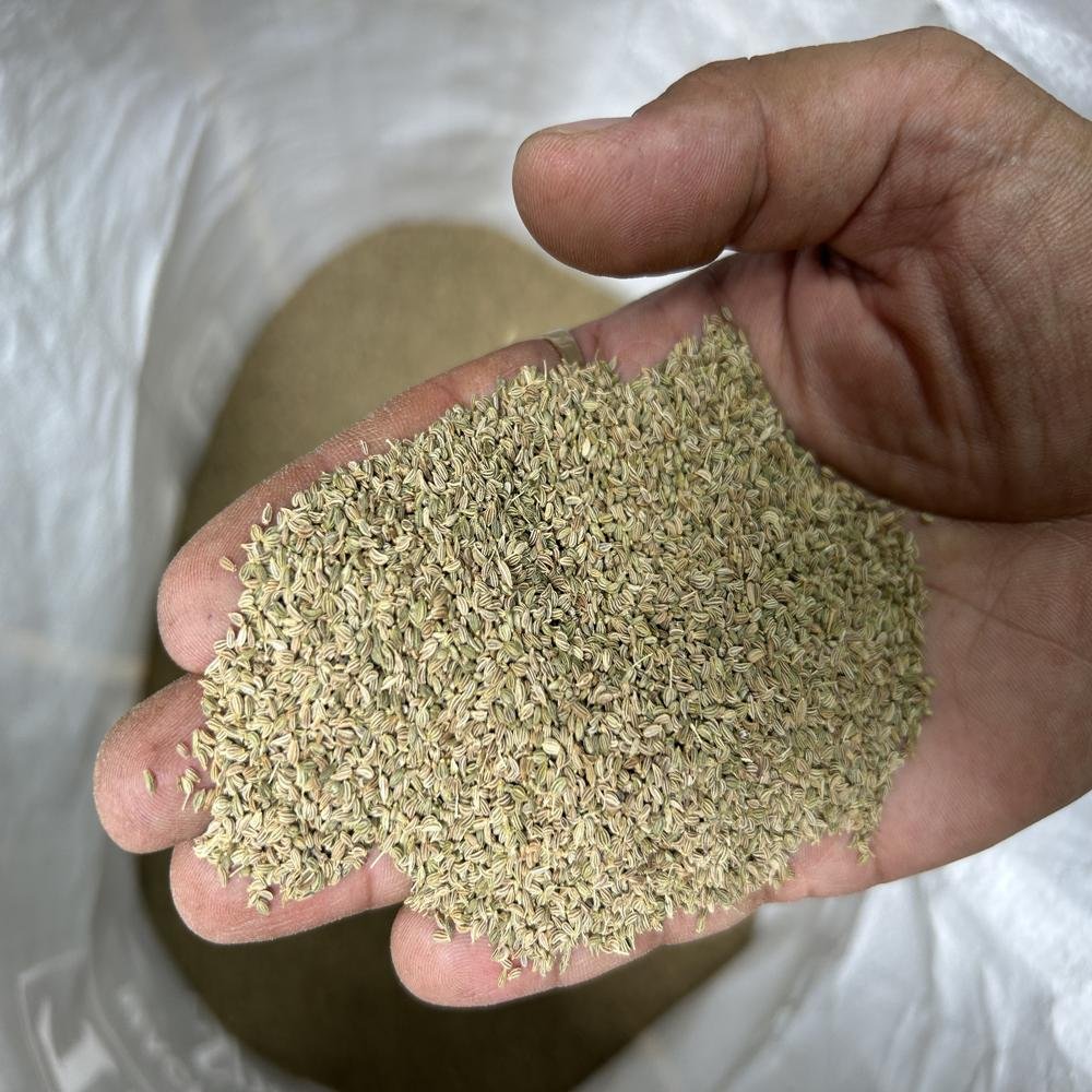 Carom Seeds (Ajwain)